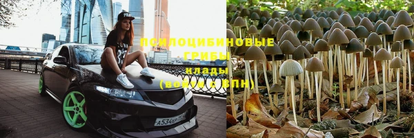 Альфа ПВП Балахна