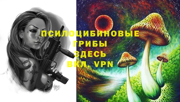 mix Баксан