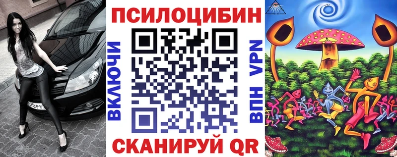 дарнет шоп  Баксан  Псилоцибиновые грибы Magic Shrooms 